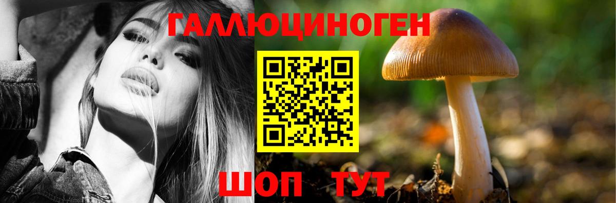Псилоцибиновые грибы Magic Shrooms  хочу   Бирск  Псилоцибиновые грибы GOLDEN TEACHER  Вход с VPN 