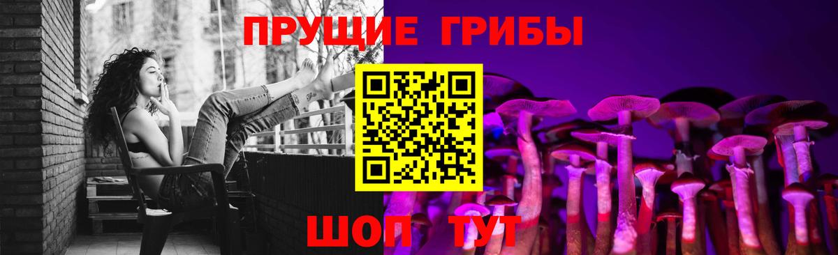 Псилоцибиновые грибы Cubensis Бирск